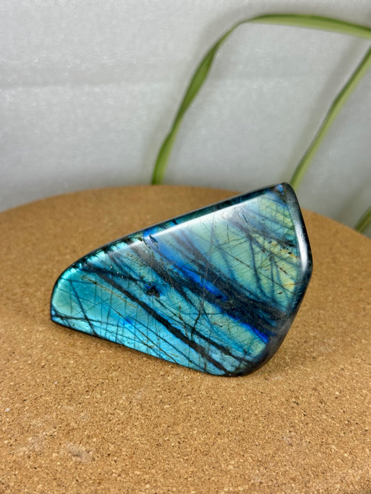 Labradorite Freeform - Turquoise flash