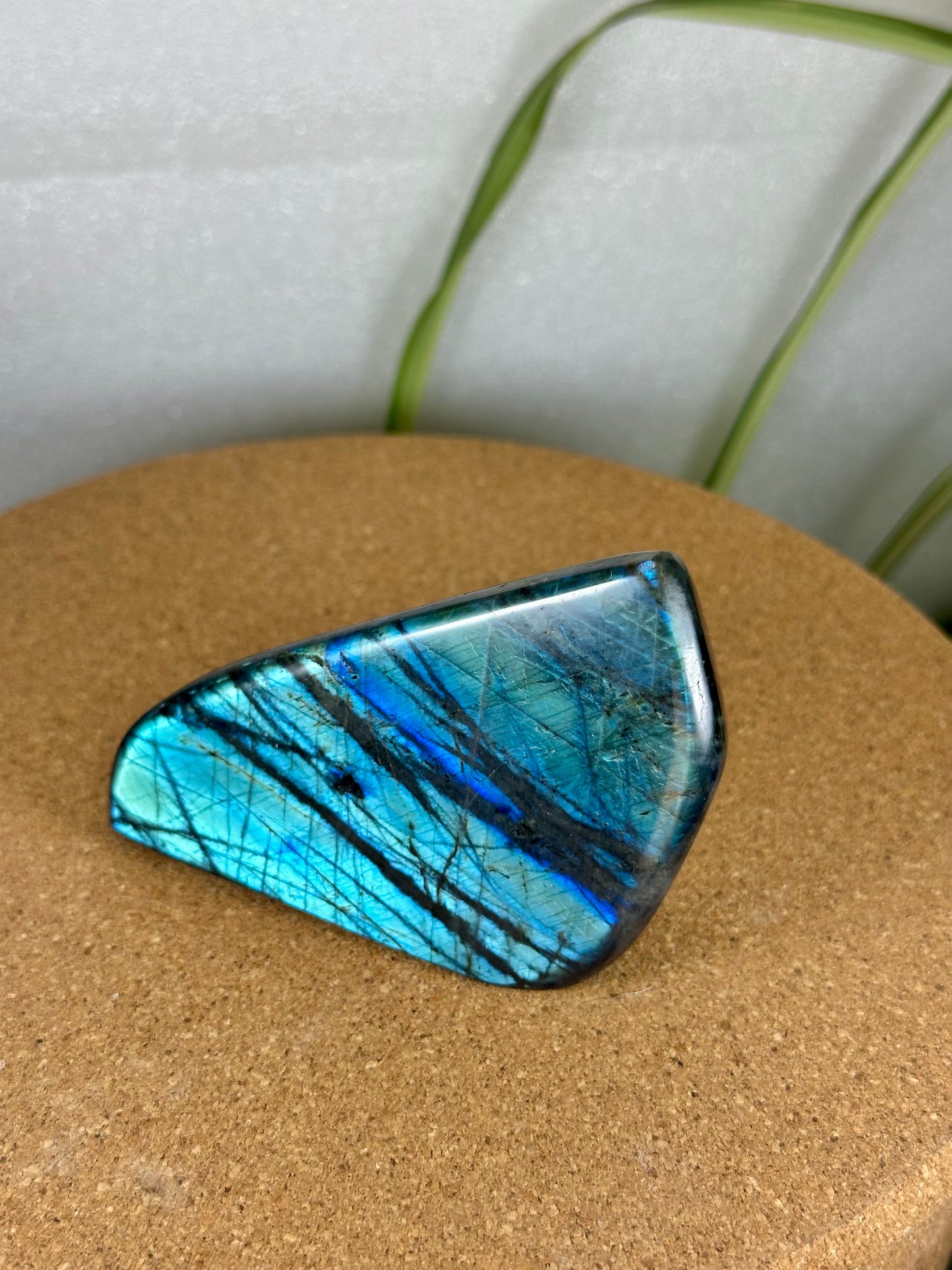 Labradorite Freeform - Turquoise flash
