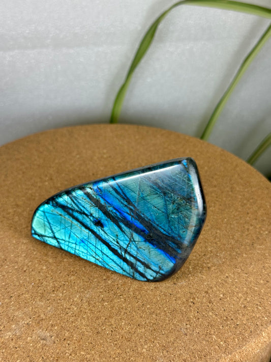 Labradorite Freeform - Turquoise flash