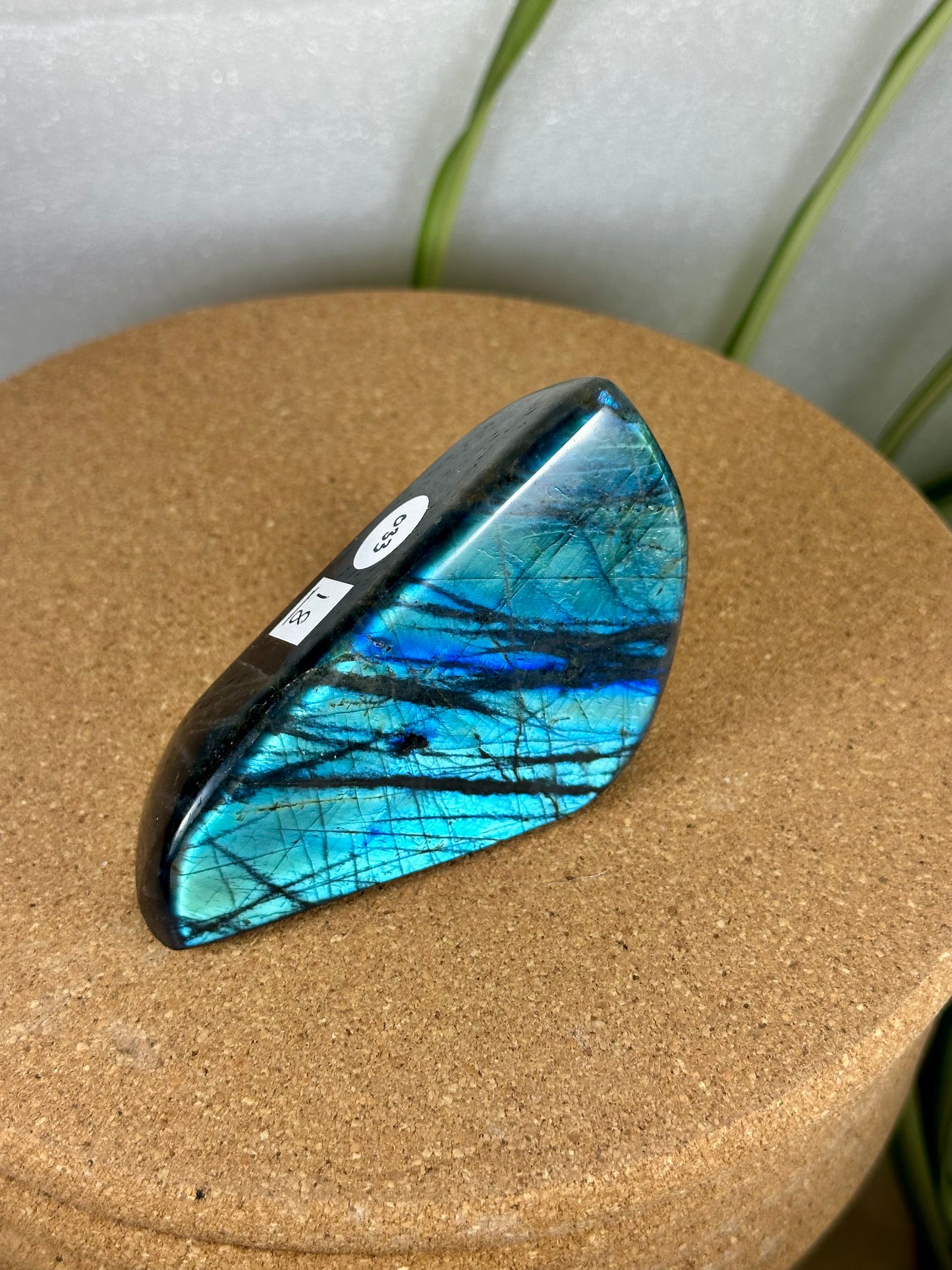 Labradorite Freeform - Turquoise flash