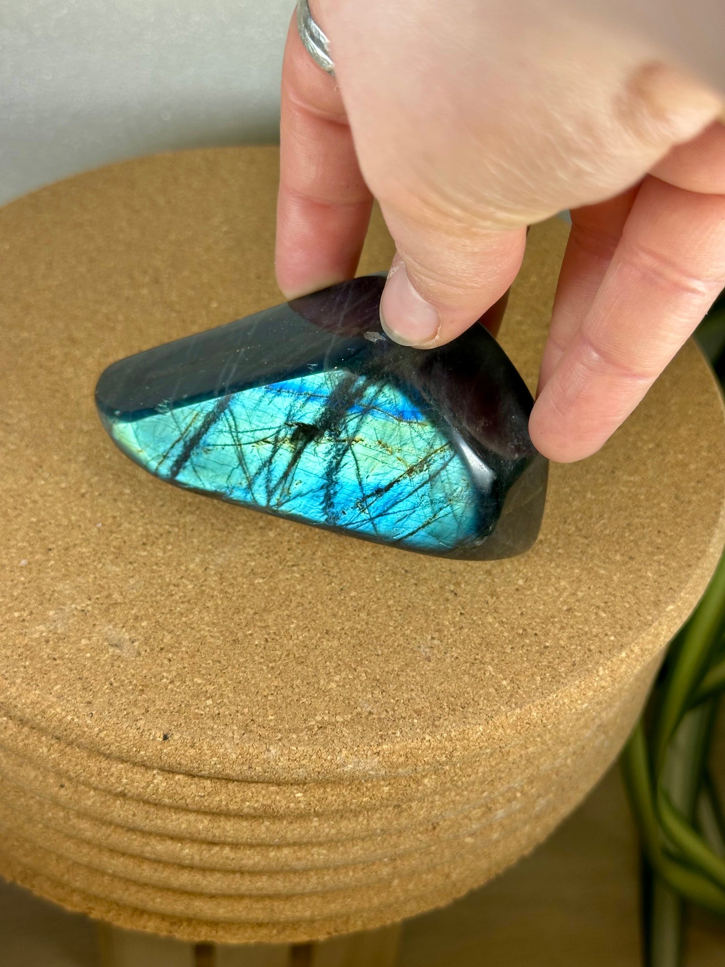 Labradorite Freeform - Turquoise flash
