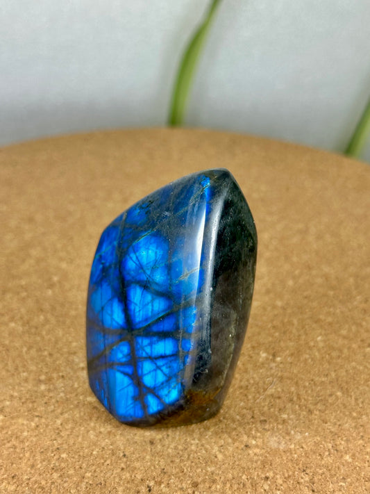 Labradorite Freeform - Blue flash