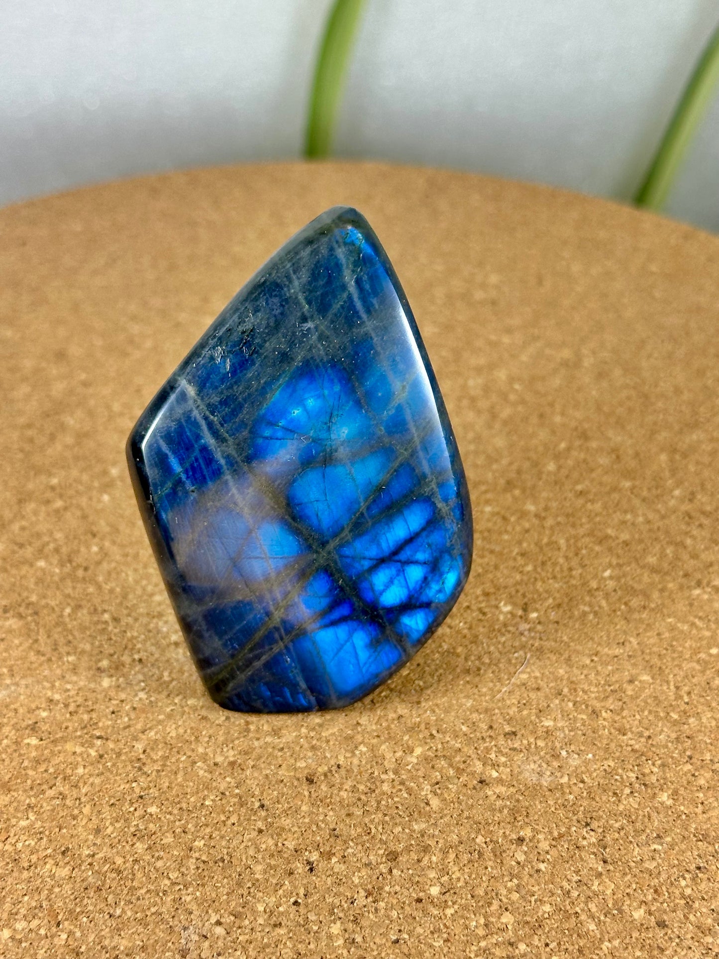 Labradorite Freeform - Blue flash