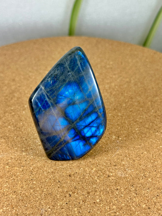 Labradorite Freeform - Blue flash