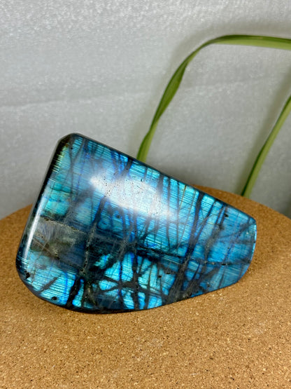 Labradorite Freeform - Blue Flash