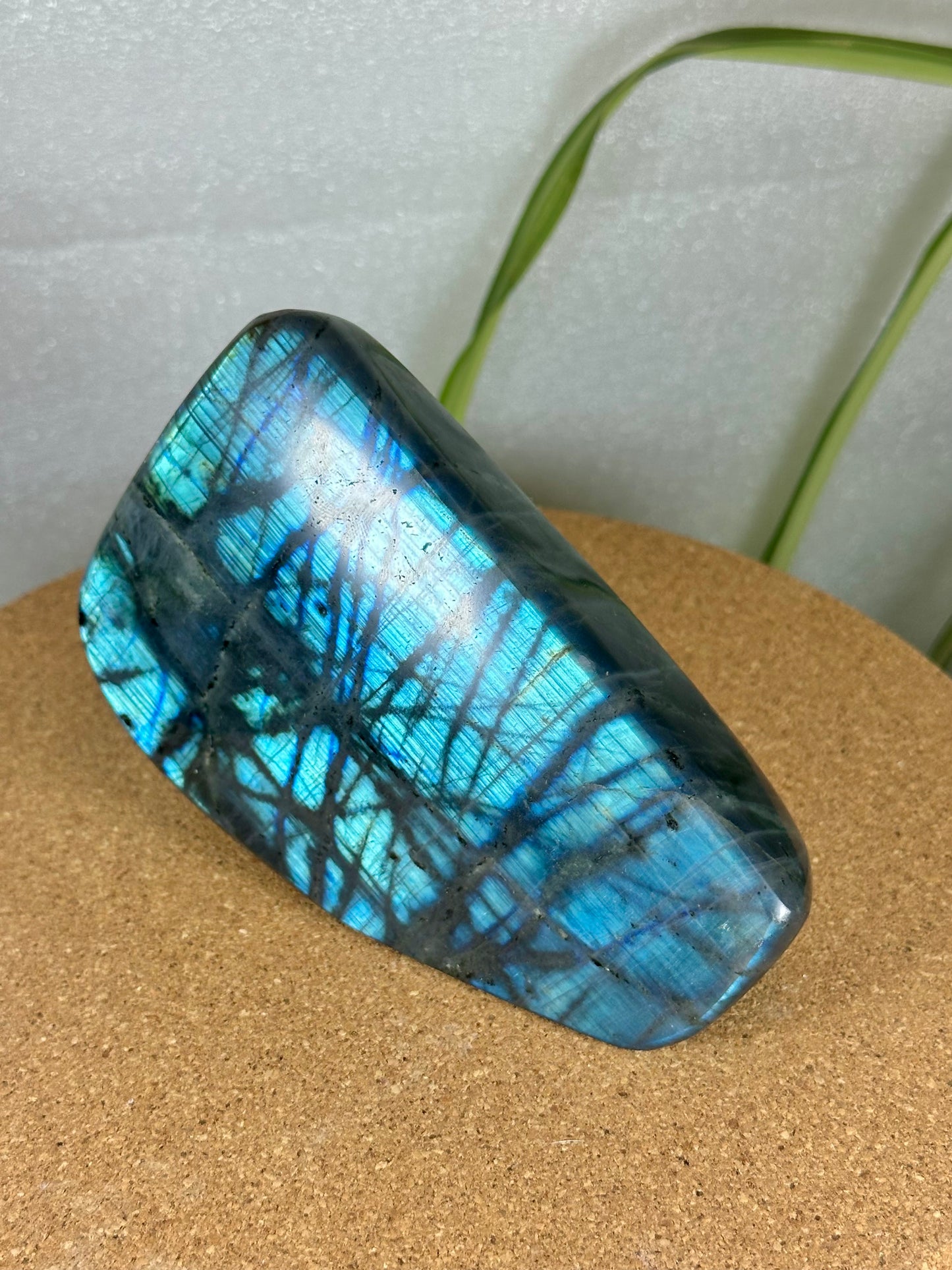 Labradorite Freeform - Blue Flash