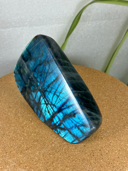 Labradorite Freeform - Blue Flash