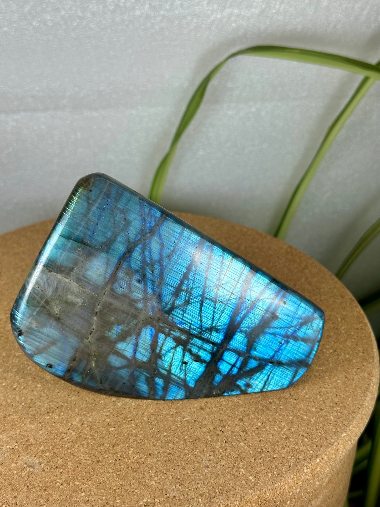 Labradorite Freeform - Blue Flash