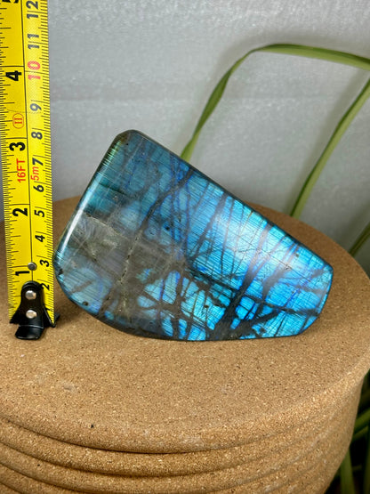 Labradorite Freeform - Blue Flash