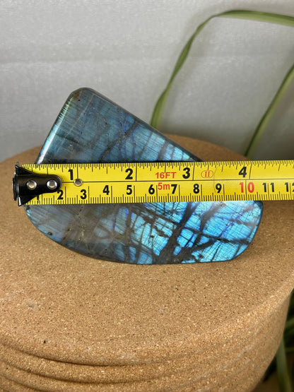 Labradorite Freeform - Blue Flash