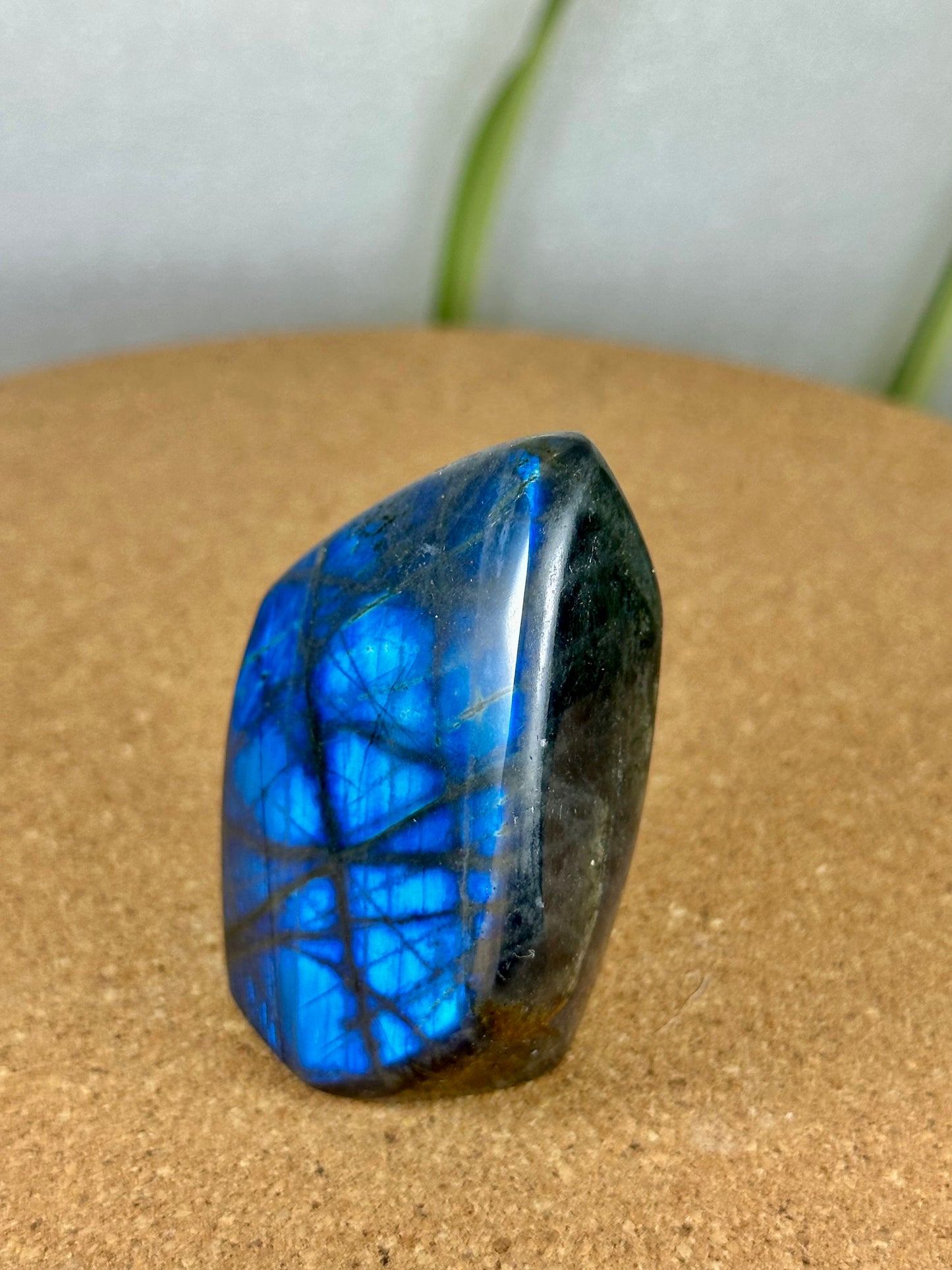 Labradorite Freeform - Blue flash