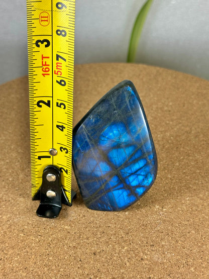 Labradorite Freeform - Blue flash